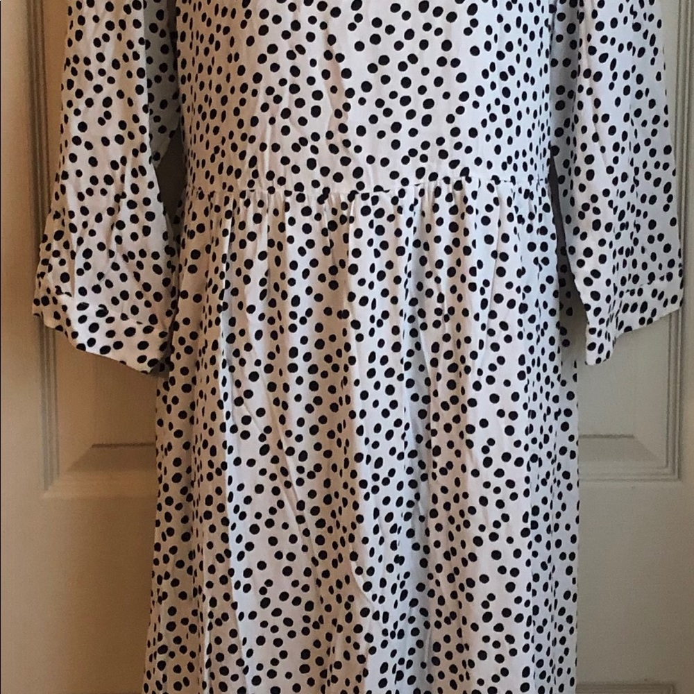 Zara “Polka Dress” - Picture 5 of 6